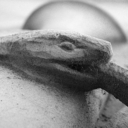 my-hierophany avatar