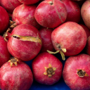 my-home-and-garden-uk avatar