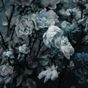 my-life-though-tvshows avatar