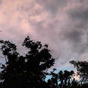 my-little-secret-posts avatar