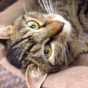 my-mindpalace666 avatar