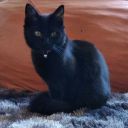 my-name-is-allen avatar