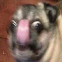 my-nameis-may avatar