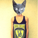 my-own-raveland avatar