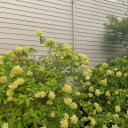 my-plain-jane-glory avatar