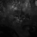 my-reality-is-different avatar