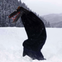 my-reddie-archive avatar