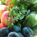 my-sunflower-cat avatar