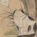 my-tamriel-now avatar