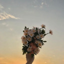 my-thirteen-stars avatar