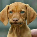 my5creativenames avatar