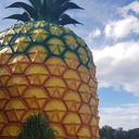 myamoremyamoreandme avatar