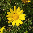 myartisandonkeysports-blog avatar