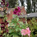 myartnaturesoul avatar