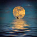 myavenueflower avatar