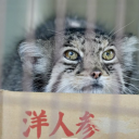 mybeautifulboy avatar