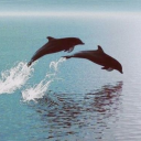 mybeloved1111 avatar