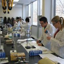 mybelovedcity avatar