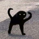 myblog-is-a-mess avatar