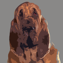 mybloodhoundfoundabody avatar