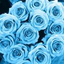 mybluethoughts avatar