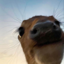 mybodywillrot avatar