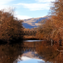 mybrainispermanentlyfried avatar