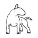 mybullterrier-blog avatar