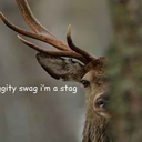 mycathasproblemsandsodoi avatar