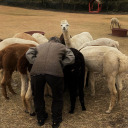 mycatnamedbinn avatar