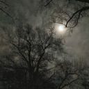 mychemicalroadworkahead avatar