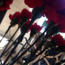 mychxmicalrevenge-blog avatar