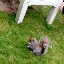 mycorner2k19universe avatar