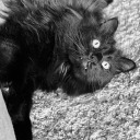 mycustomcontentpicks avatar