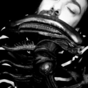 mydandyfinger avatar