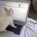 mydarlingariana avatar