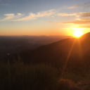 mydeadendposts avatar