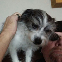 mydeadtoe-blog avatar