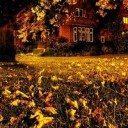 mydoctorstrangegifs avatar