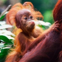 myeyesarestillopen avatar