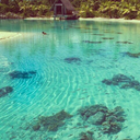 myfandomisnotonfire avatar