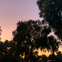 myfantasyforever avatar