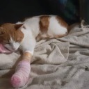 myfavoriteblog16 avatar