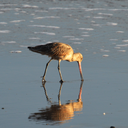 myfavoritepageis394 avatar