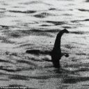 mygaydivorce2 avatar