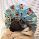 mygreatestinfinity avatar