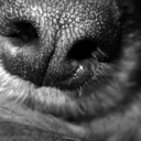 myhealthfreedom avatar