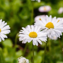 myhearthurtshelp avatar