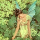 myheartis-burning avatar