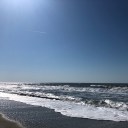 mylatestattempt avatar